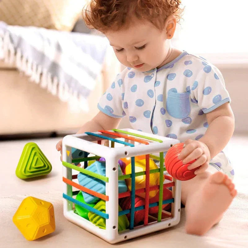 BrightSprout Box - Educational Box