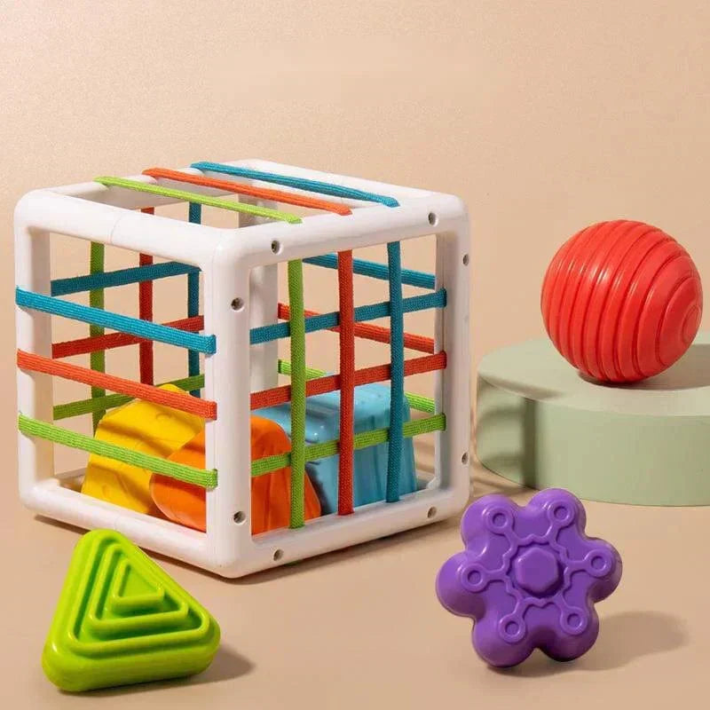 BrightSprout Box - Educational Box