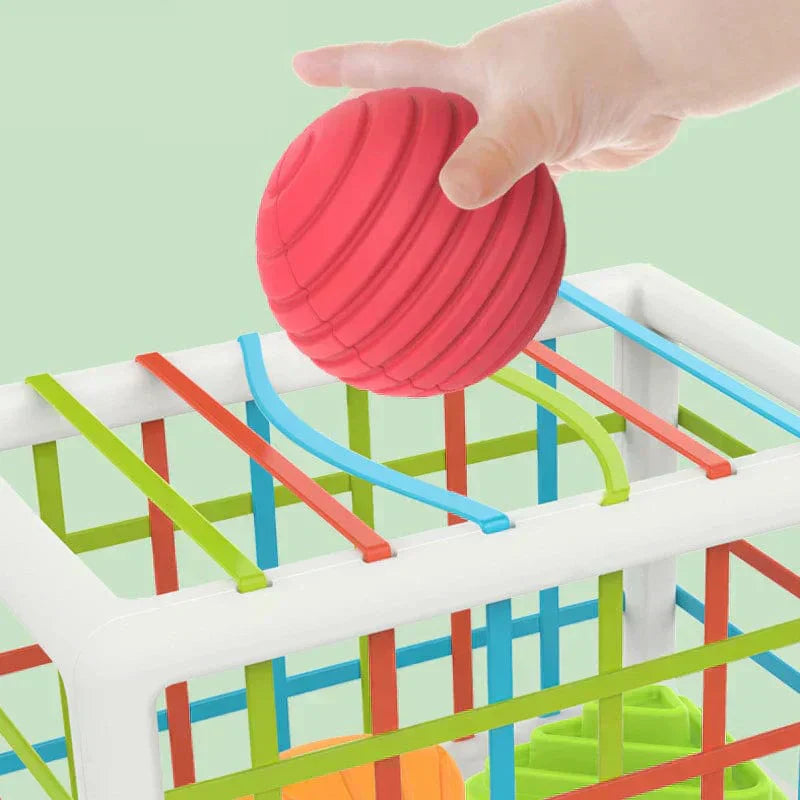 BrightSprout Box - Educational Box