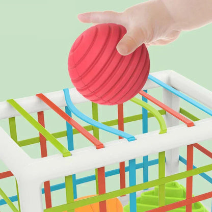 BrightSprout Box - Educational Box