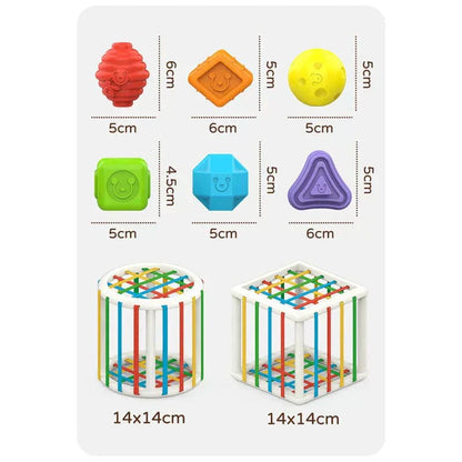 BrightSprout Box - Educational Box