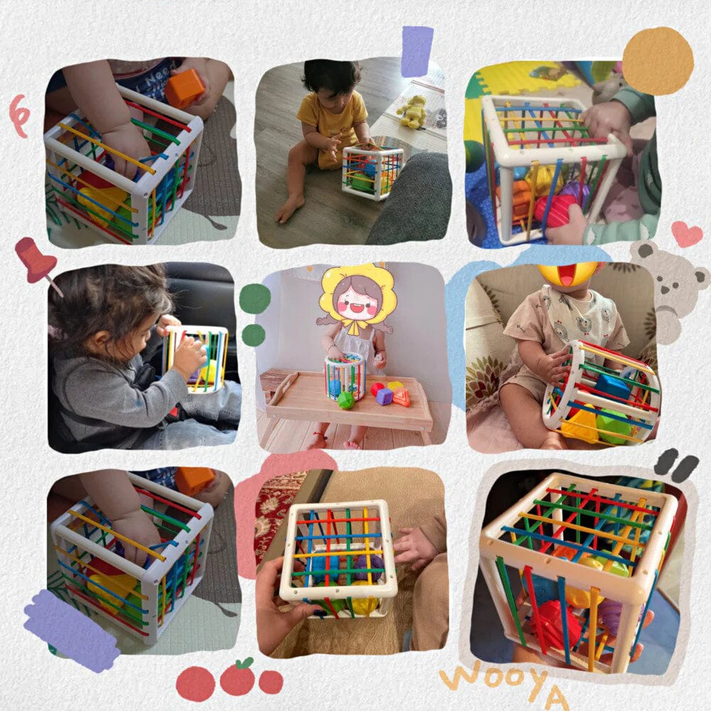 BrightSprout Box - Educational Box